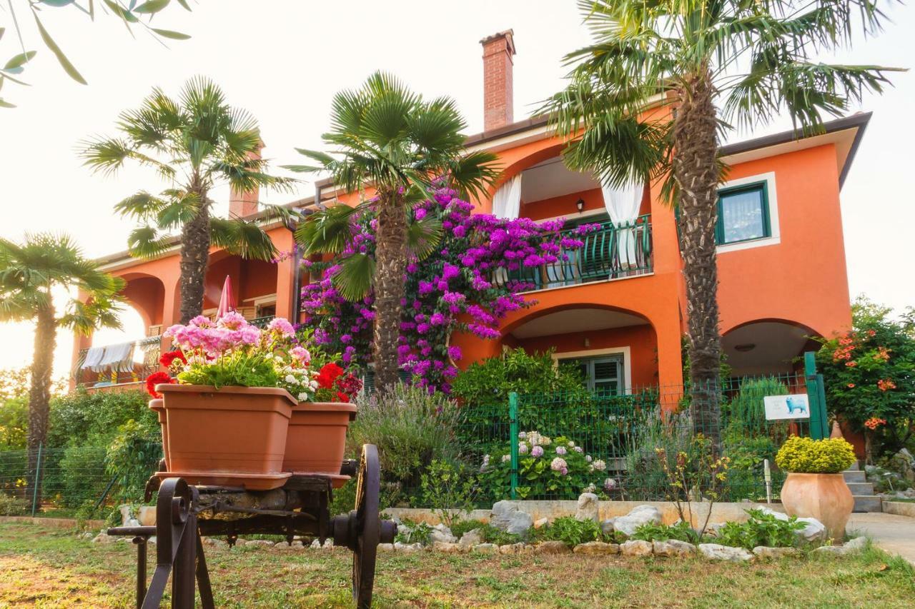 Apartments Mirjana Novigrad  ภายนอก รูปภาพ